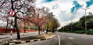 Chandigarh is India's First Best Planned City in India, with Architecture Which is World-Renowned, and a Quality of Life, Which is Unparalleled
